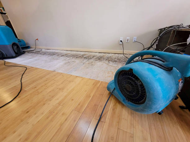 Professional Burst Pipe Water Damage technician working in Franklin, CA
